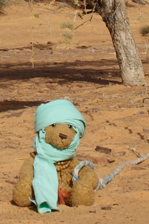 In Mauritania